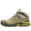 Better Gift Shop SALOMON XA PRO 3D Mid GTX «Brown»