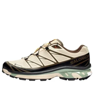 SALOMON x SNS XT-6 Gore-Tex «Almond Milk Seagrass»