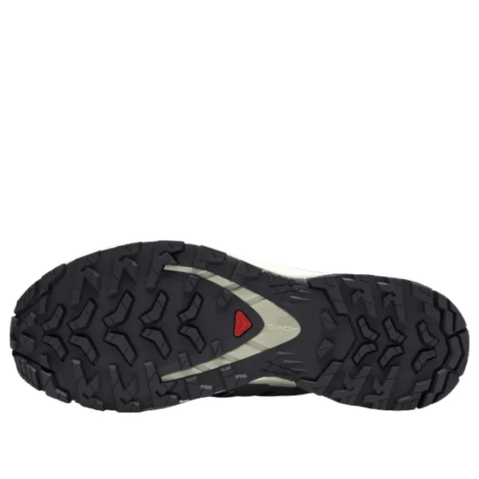 Salomon XA PRO 3D V9 GTX «Gris oscuro y beige»