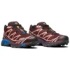 Salomon XT-6 Advanced «Madder Brown Mocha Mousse»