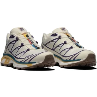 Salomon XT-6 «Beige Purple Yellow»