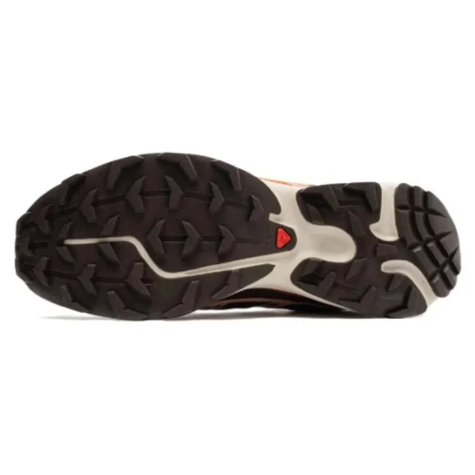 Salomon XT-6 «Delicioso»