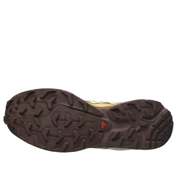 Salomon XT-6 «Dusty Yellow French Roast»