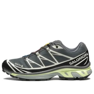 XT-6 Gore-Tex «Black Lime Cream»