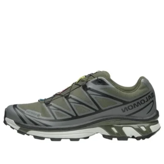 XT-6 Gore-Tex «Oliva/Noche/Sedona/Salvia»