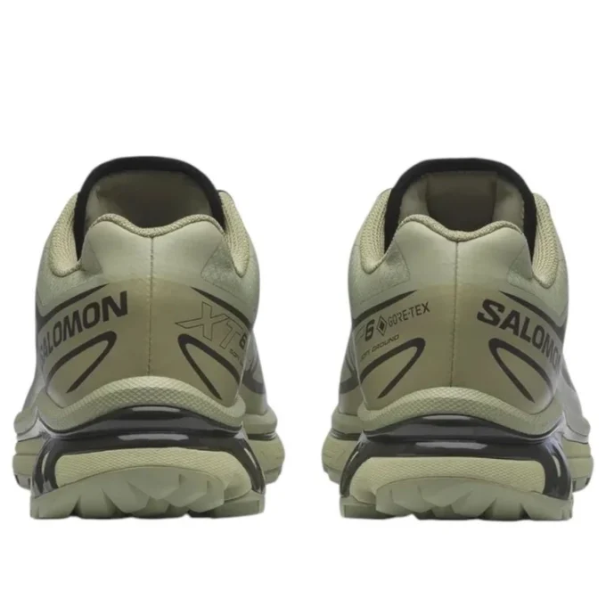XT-6 Gore-Tex «Tea Peat»